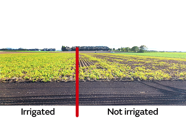 Image of Effects of implementation 01