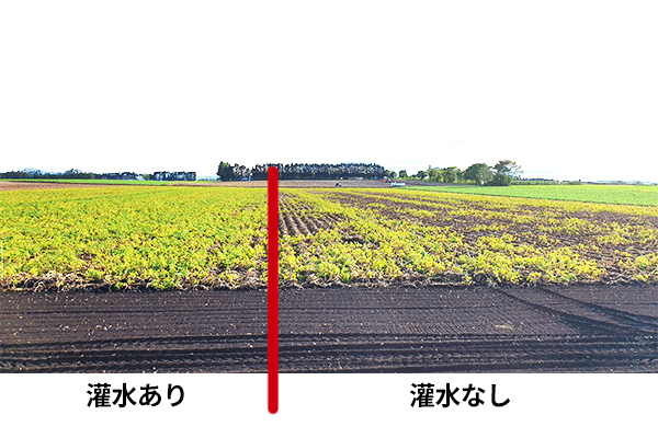 導入による効果のイメージ画像1