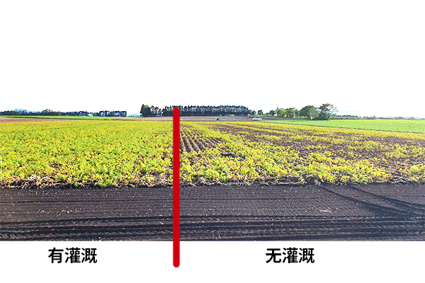 导入效果图片1