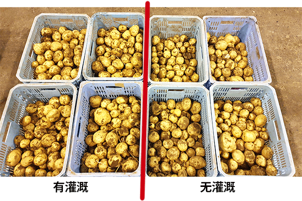 导入效果图片2